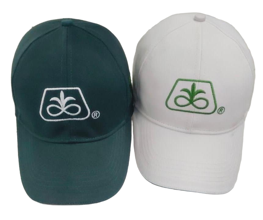 Premium Cotton Baseball Cap