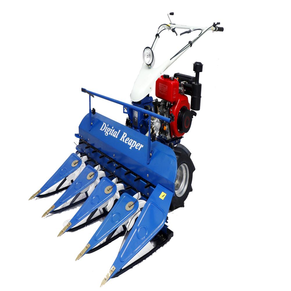 Soyabean Cutting Machine - Capacity: 600 Milliliter (Ml)
