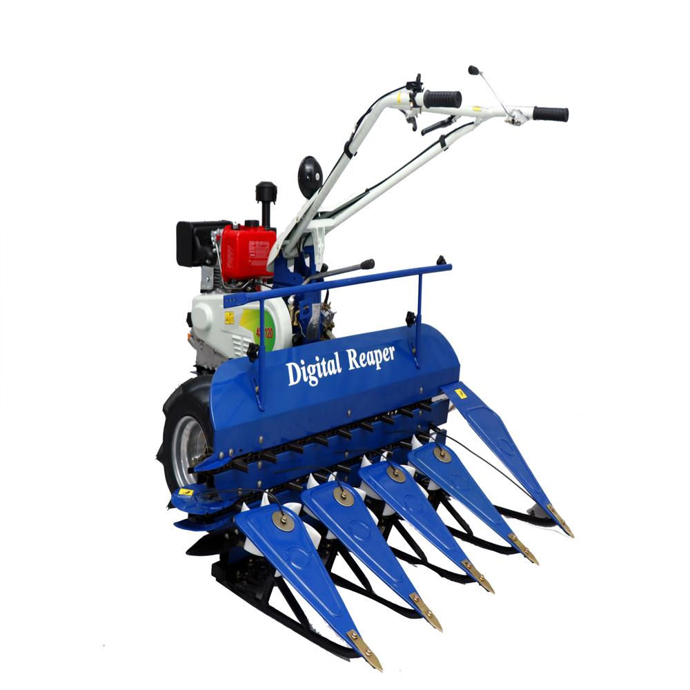 Soyabean Cutting Machine