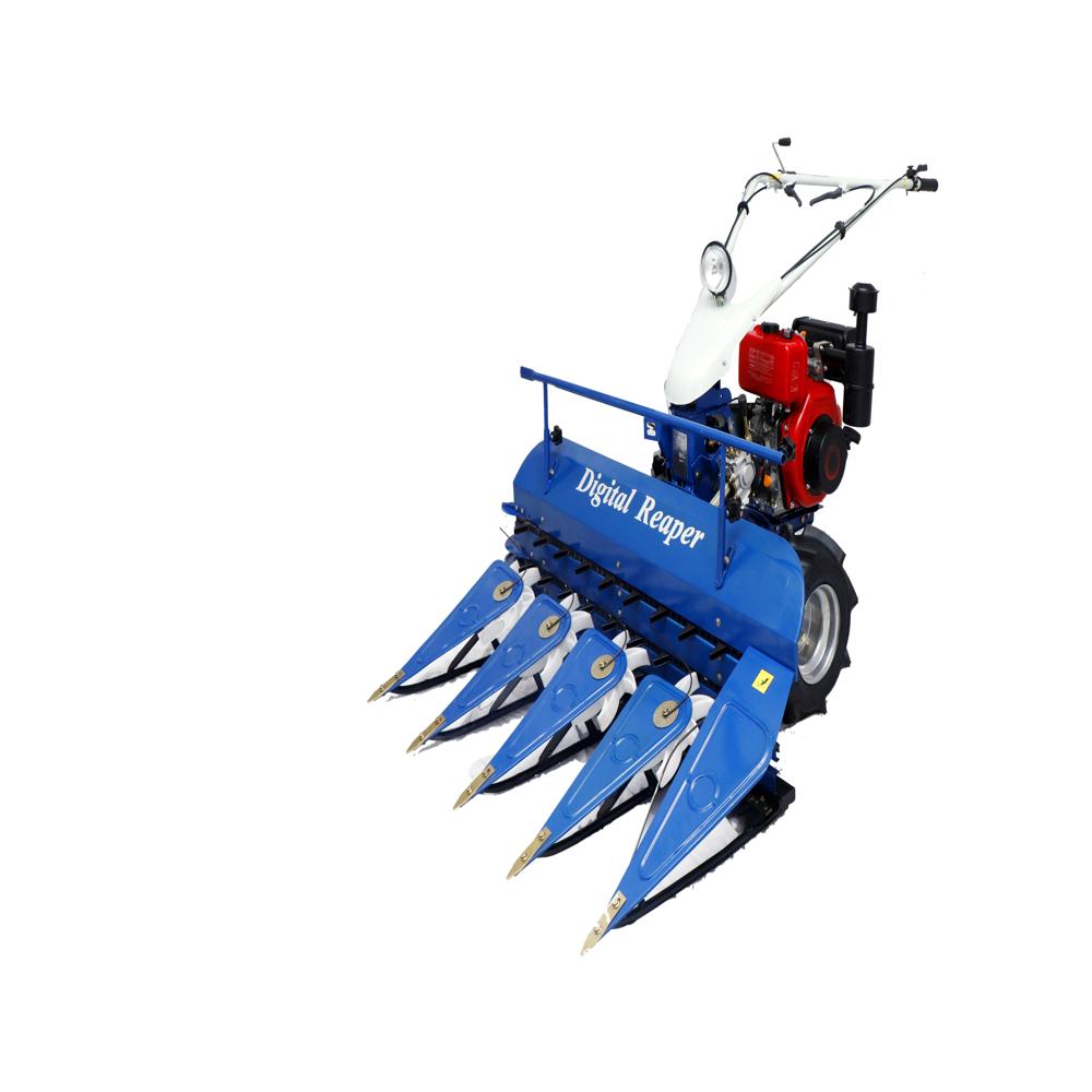 Soyabean Cutting Machine