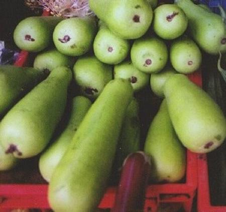 सब्जियाँ लौकी