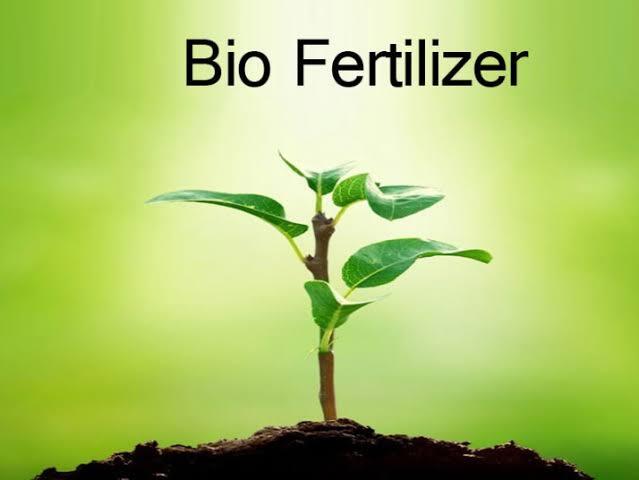 Bio Fertilizer - Application: Industrial