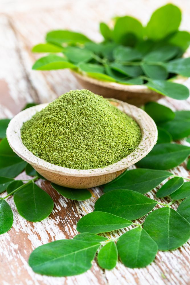 Moringa Powder - Cultivation Type: Natural