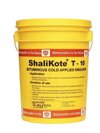 STP Shalikote T-10