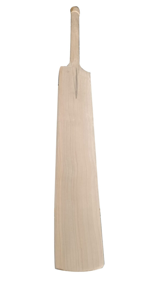6 No Kashmir Willow - Application: Cricket Practice And Matches