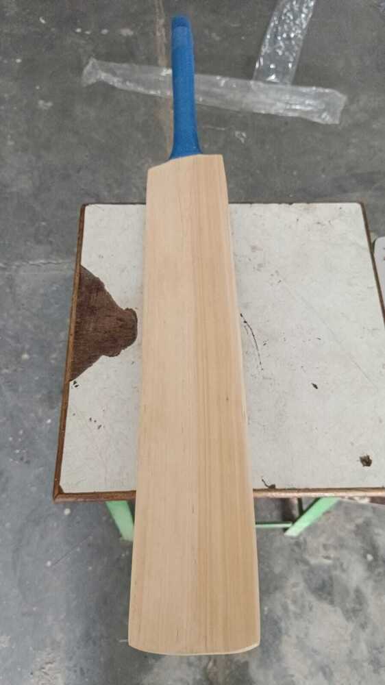 Full Size Kashmir Willow Bat