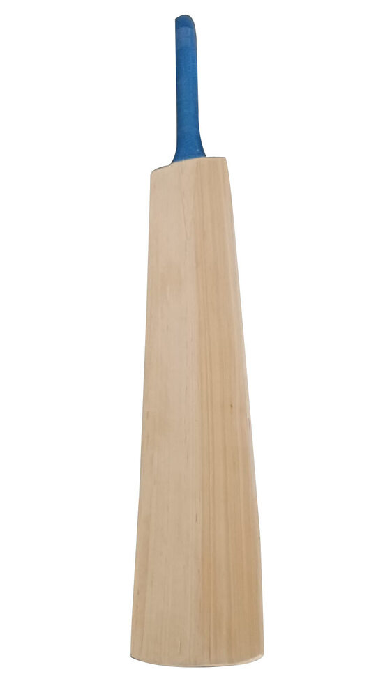 Full Size Kashmir Willow Bat - Application: Cricket