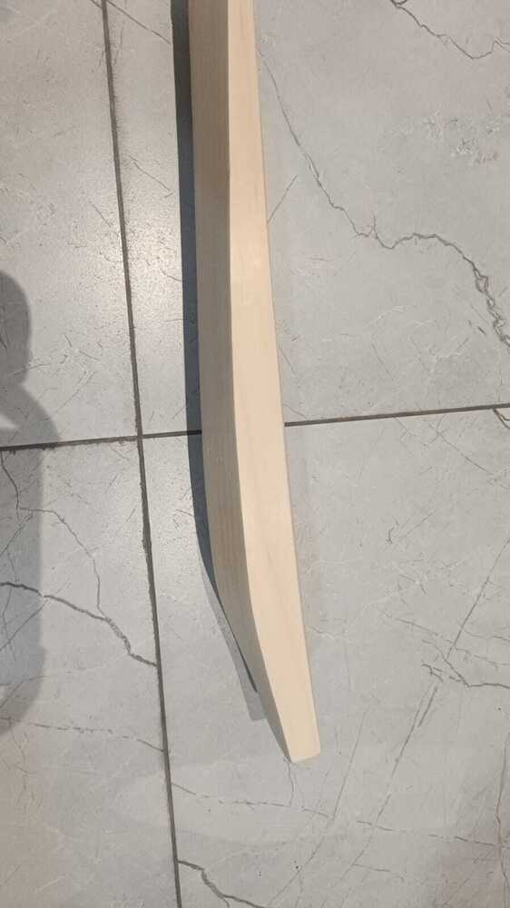 Full Size Kashmir Willow Bat