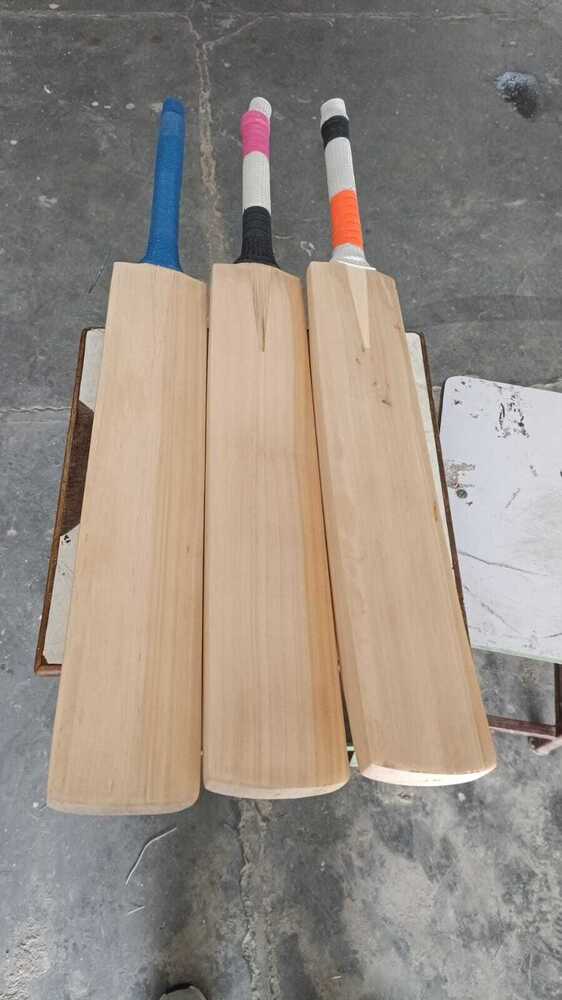 Full Size Kashmir Willow Bat