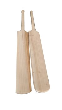 4 No Kashmir Willow