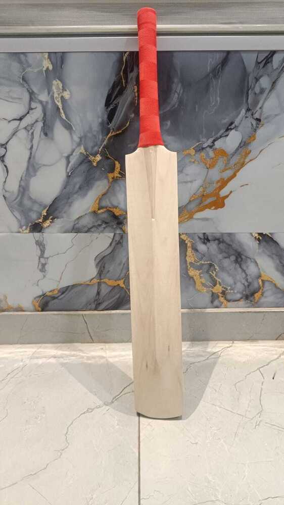 Popular Bat