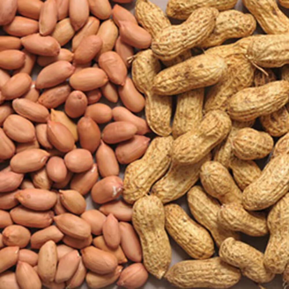 Raw Peanuts Organic - Broken (%): N/a