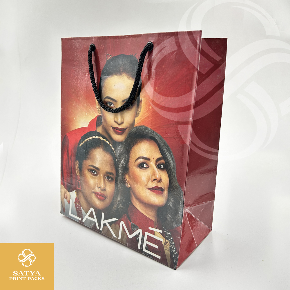 300 GSM Paper Bag