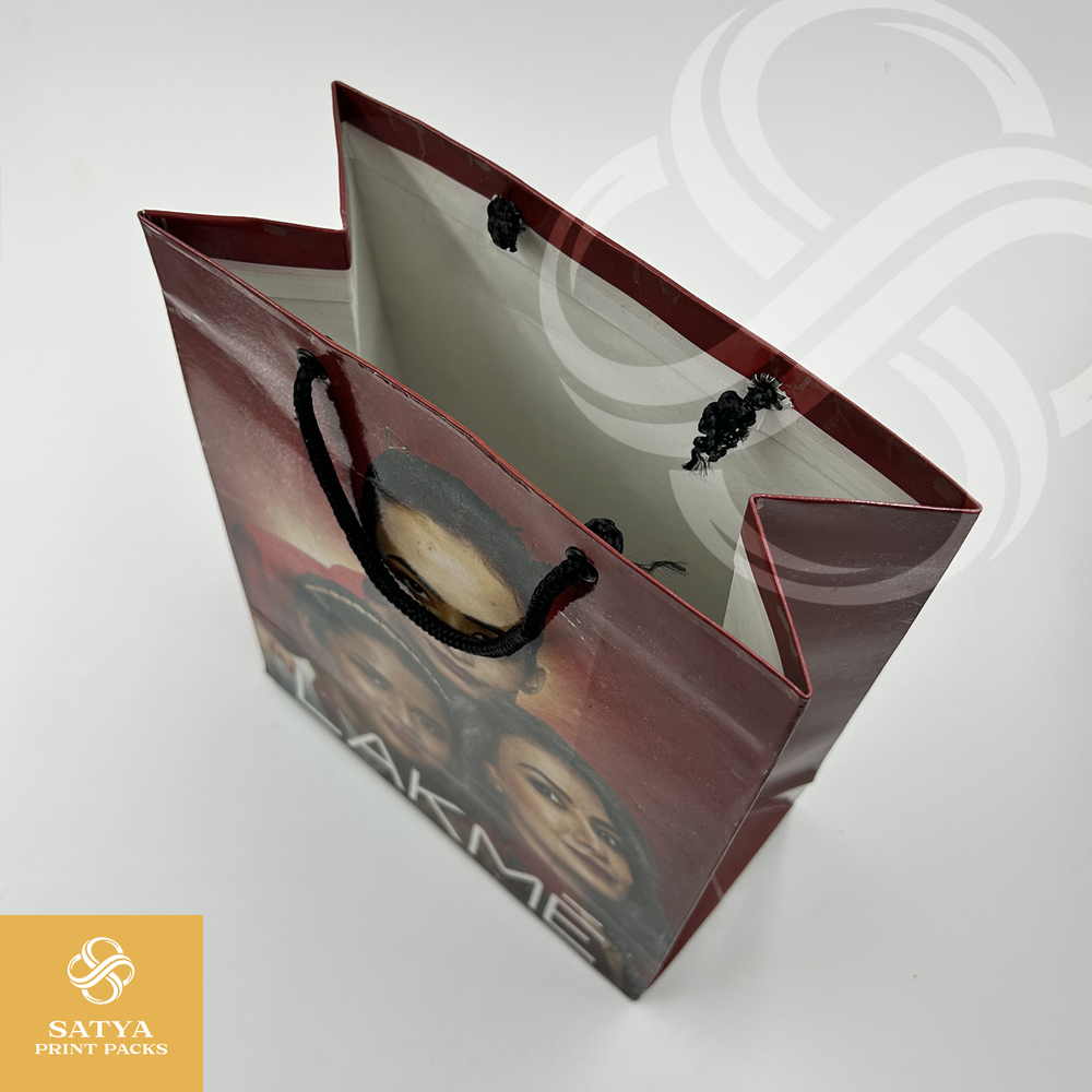 300 GSM Paper Bag