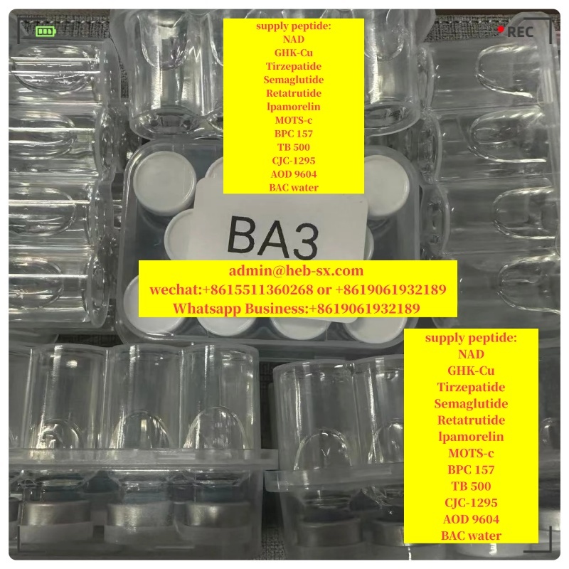 Peptide Retatrutide cas 2381089-83-2 Reta/SS31 Vendor Hot Selling!