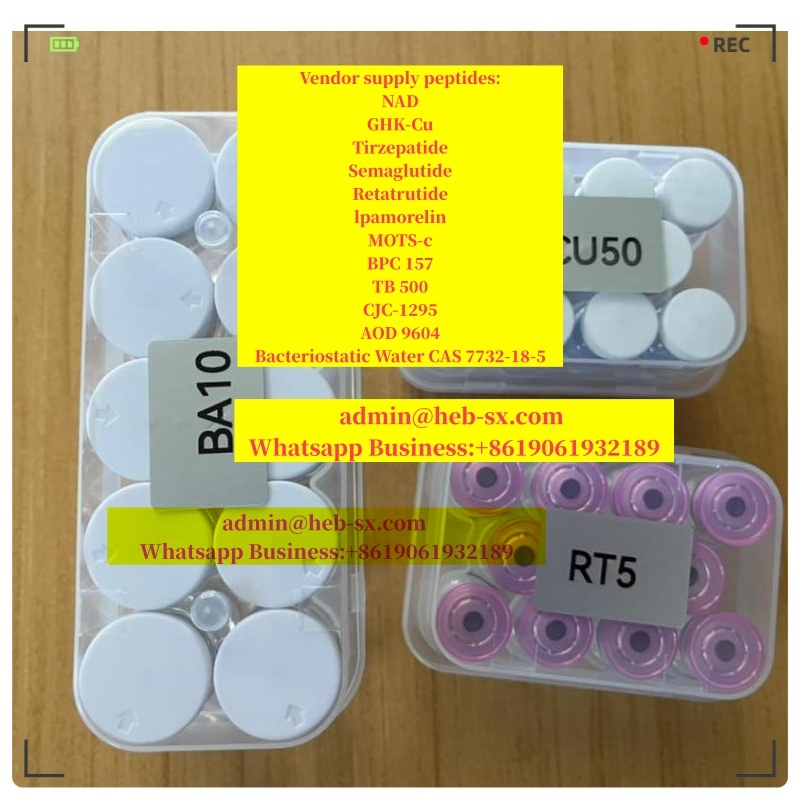 Peptide Retatrutide cas 2381089-83-2 Reta/SS31 Vendor Hot Selling!