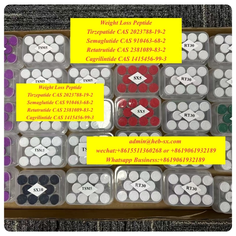 Peptide Retatrutide cas 2381089-83-2 Reta/SS31 Vendor Hot Selling!!!