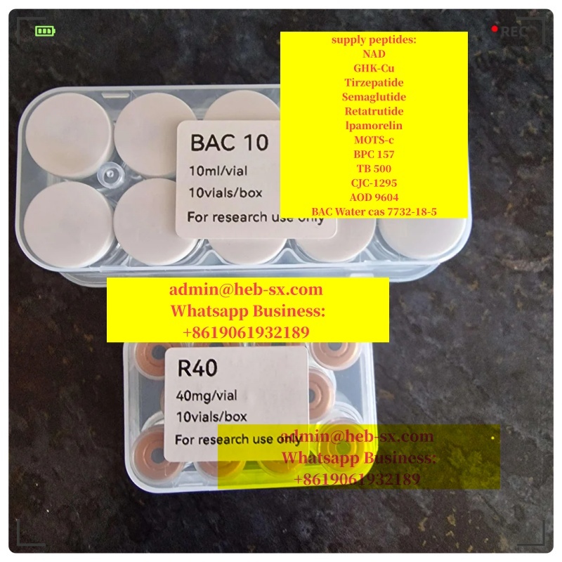 Peptide Retatrutide cas 2381089-83-2 Reta/SS31 Vendor Hot Selling!!!