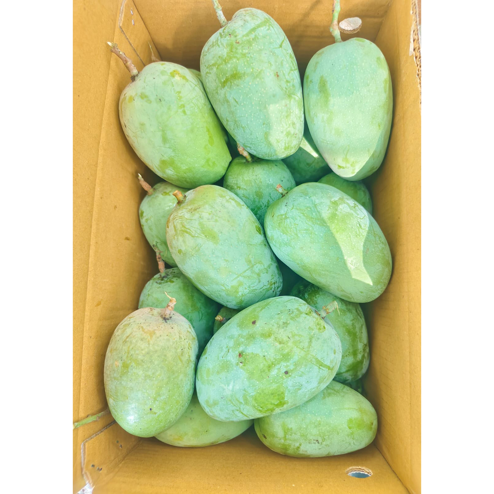 Premium Kesar Mangoes
