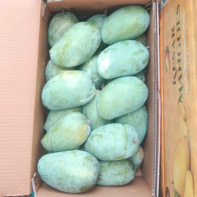 Premium Kesar Mangoes