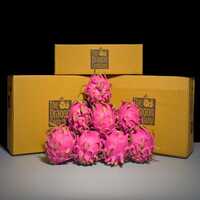 Jumbo Red Dragon Fruit