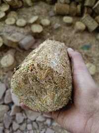 Industrial Fuel Briquettes