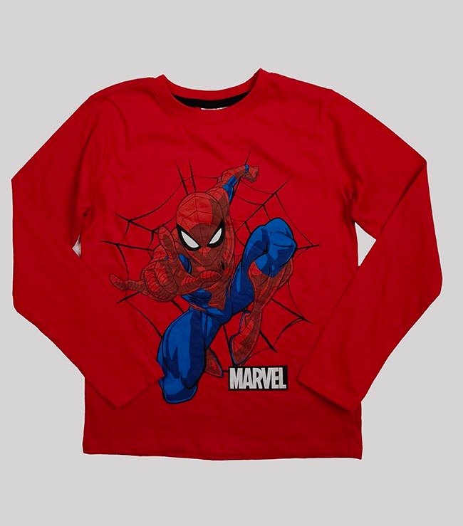 B16694 | Boys Long Sleeve Character Printed T-Shirts