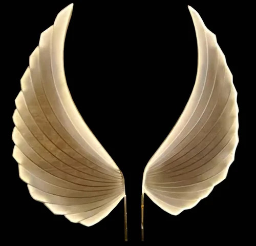 Wings Light Decor