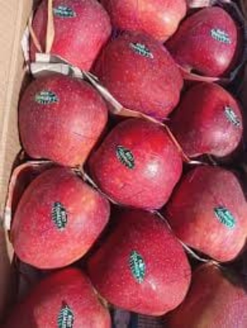 Fresh Apple