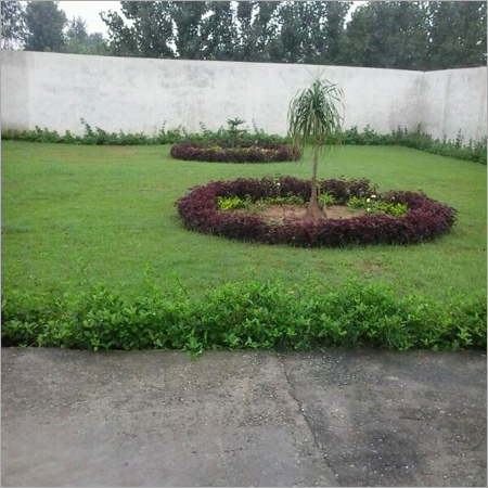 रुड़की में स्वीकृत आवासीय भूखंड