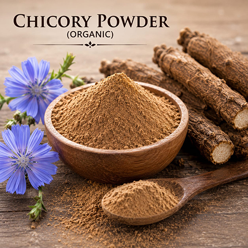 Chicory Powder