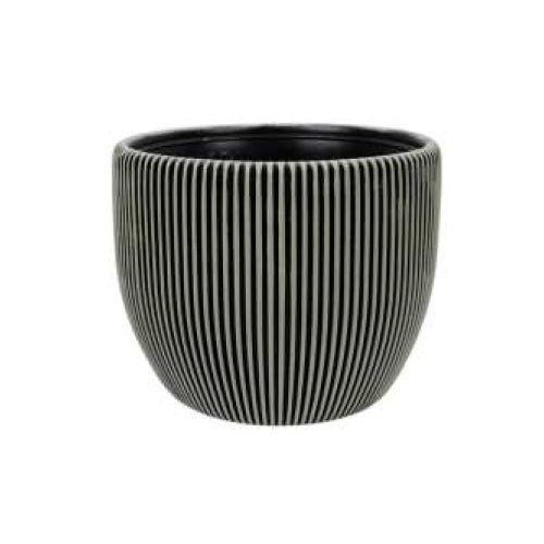 Tucson pot