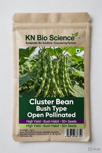 Cluster Bean