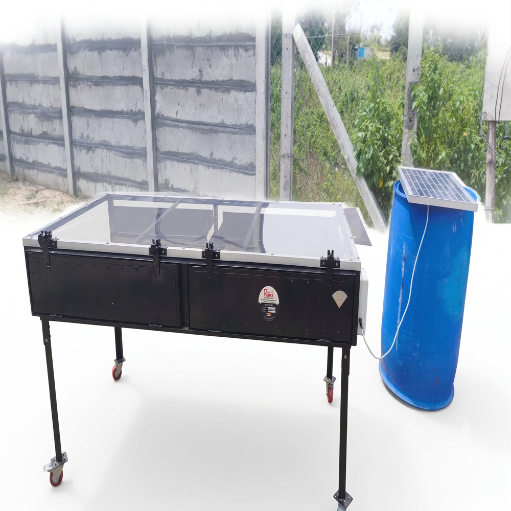 Solar Dryer For Peas
