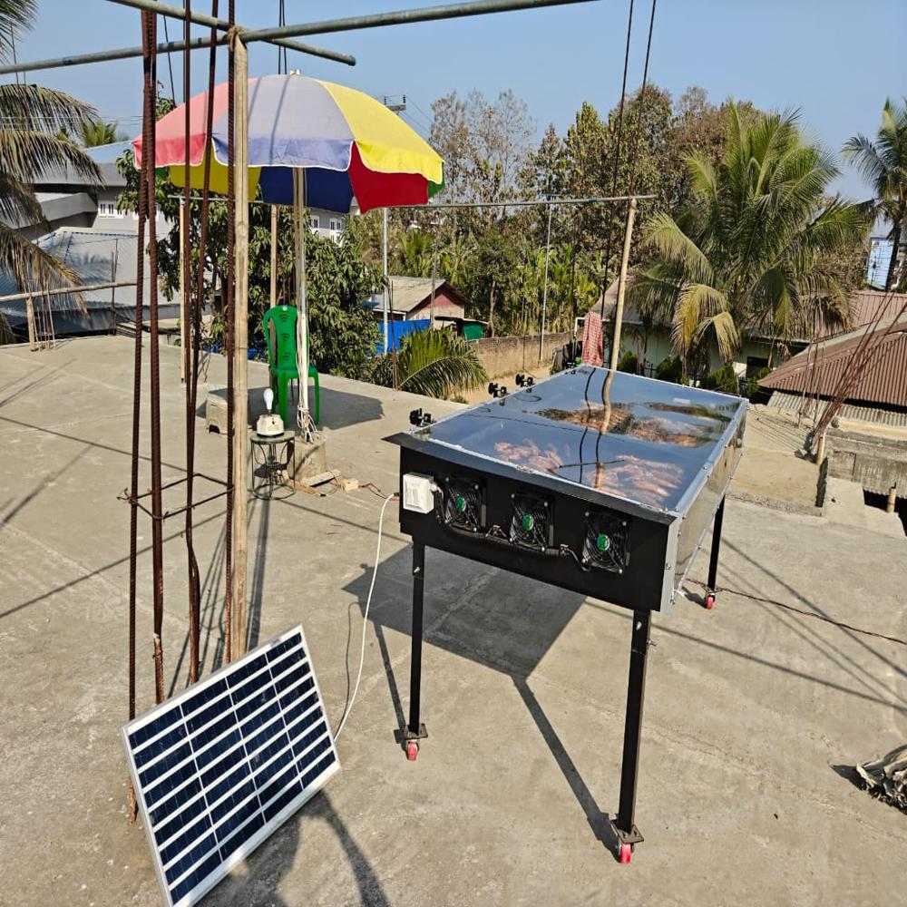 Solar Dryer For Peas