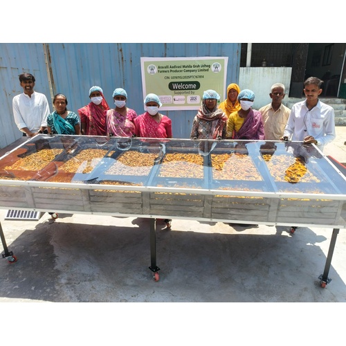 Solar Dryer For Mint