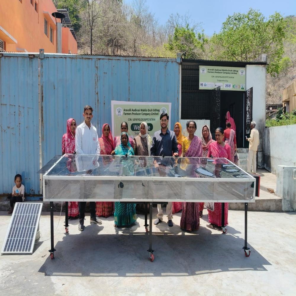Solar Dryer For Mint