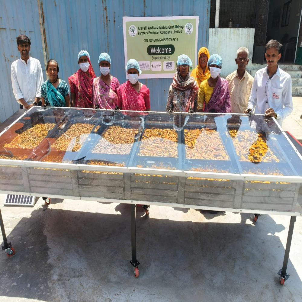 Solar Dryer For Mint