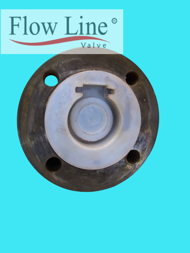 Ptfe Lined Swing Check Valve Pressure: Medium Pressure
