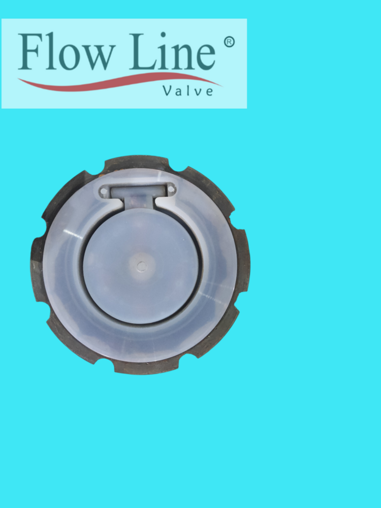 Ptfe Lined Swing Check Valve Pressure: Medium Pressure