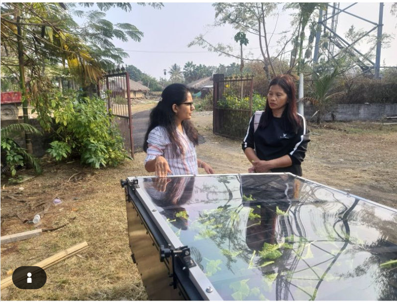 Solar Dryer For Watermelon - Application: Home