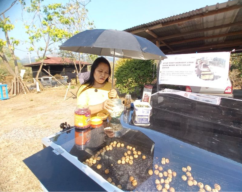 Solar Dryer For Leafy Vegetables