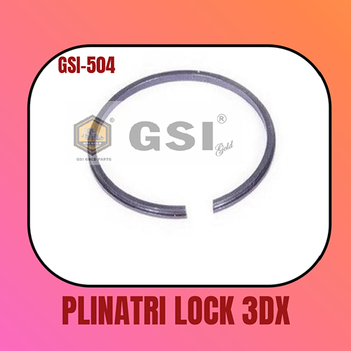 GSI504 3DX Plinatri Lock