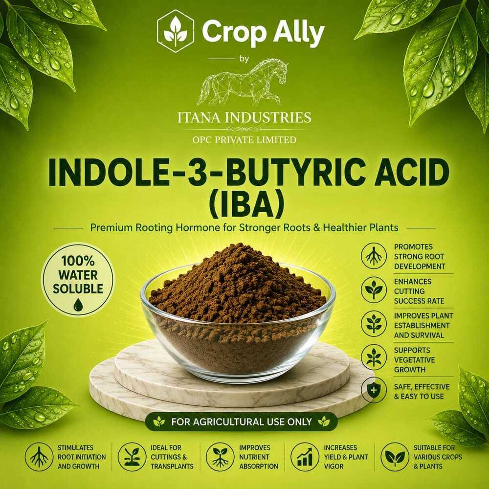 Indole 3 Butyric Acid Powder