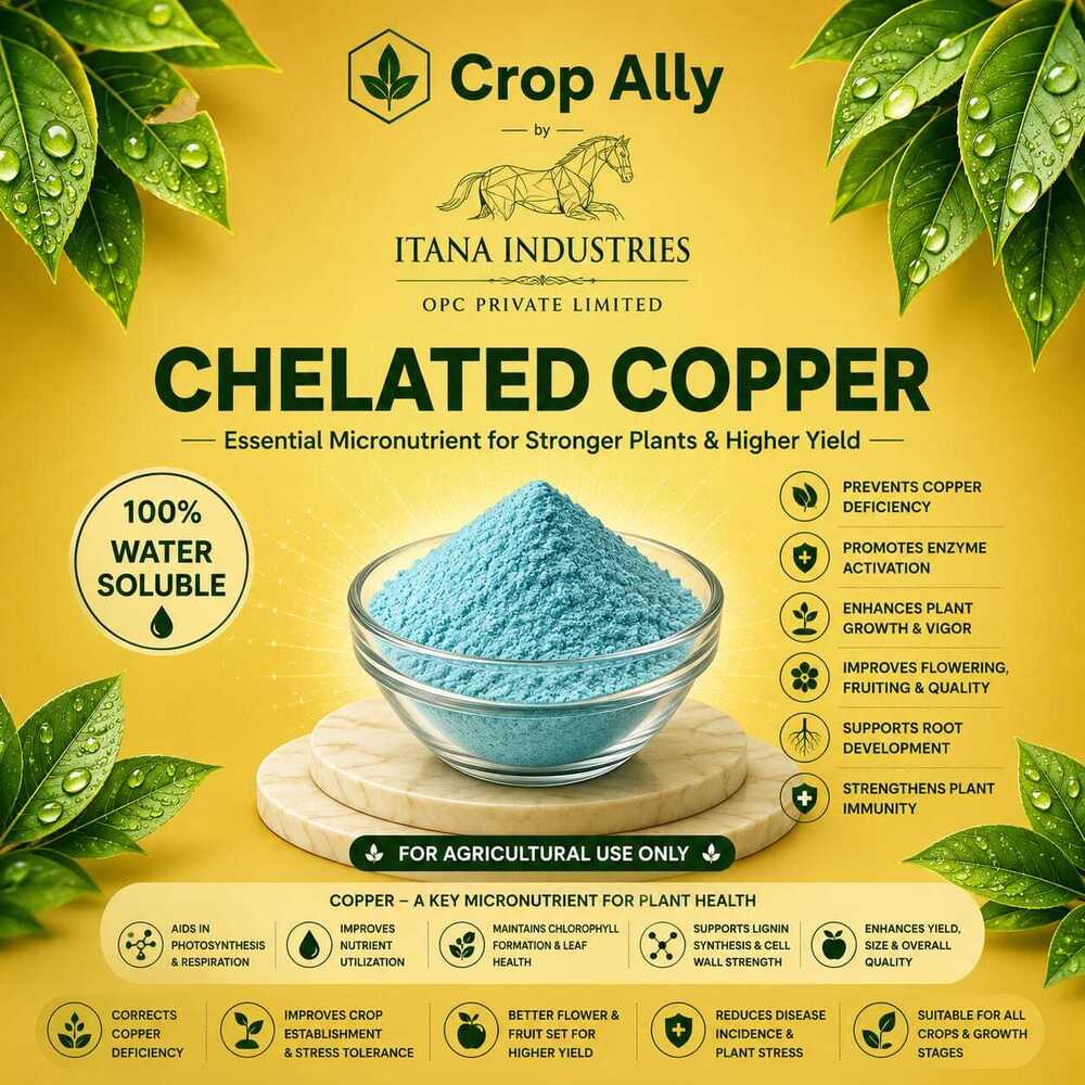 Chelated Copper Powder