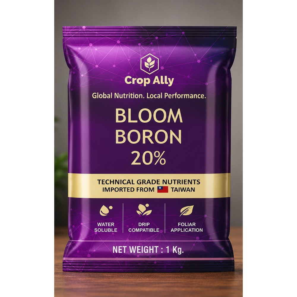 1kg Bloom Boron