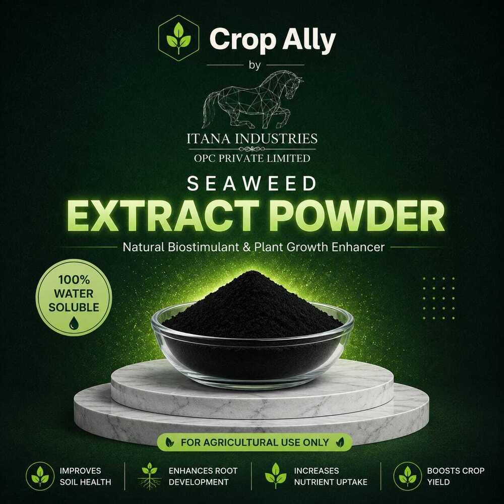 Seaweed Extract Powder