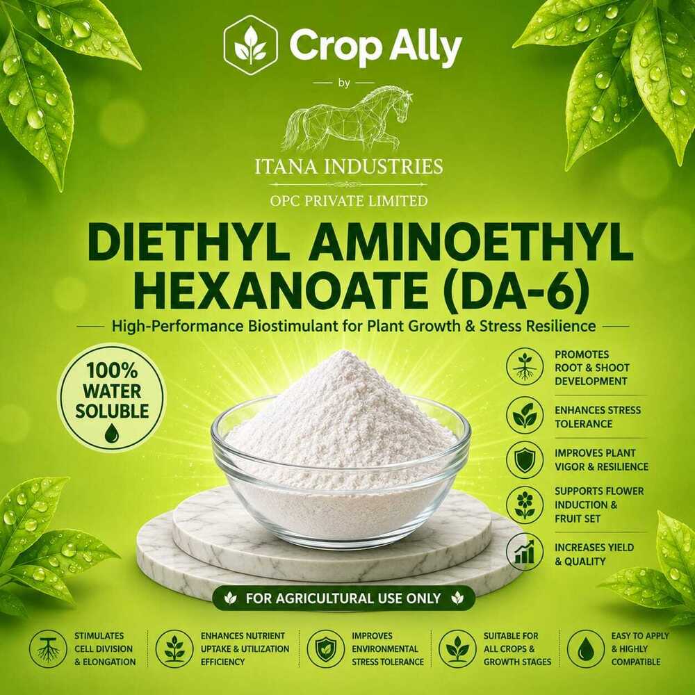 Diethyl Aminoethyl Hexanoate Powder