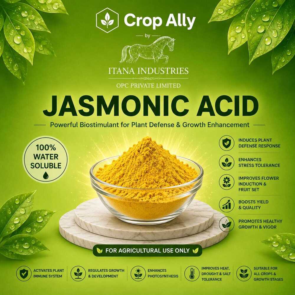 Jasmonic Acid Powder