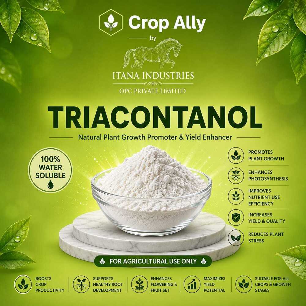 Triacontanol Powder